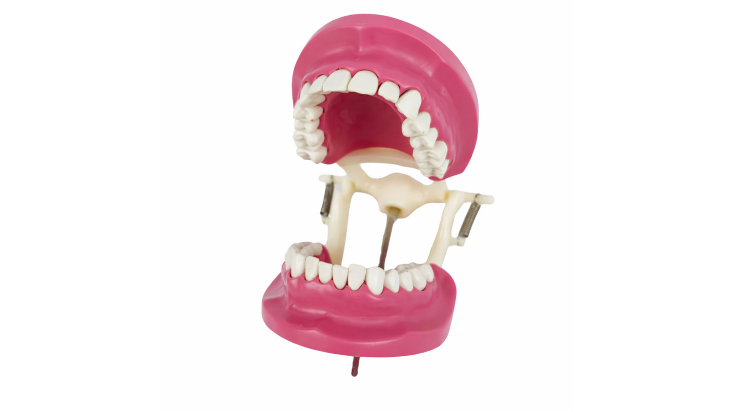 El Banna Plastic Cast